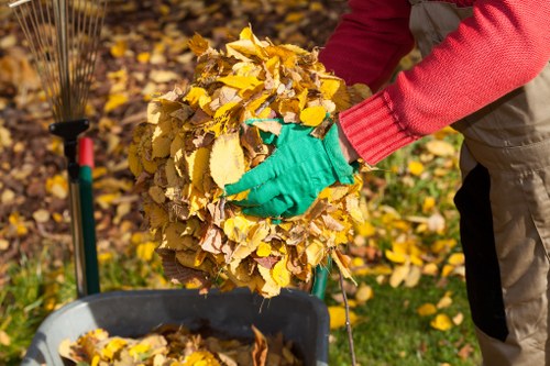 Types of garden waste managed by professionals